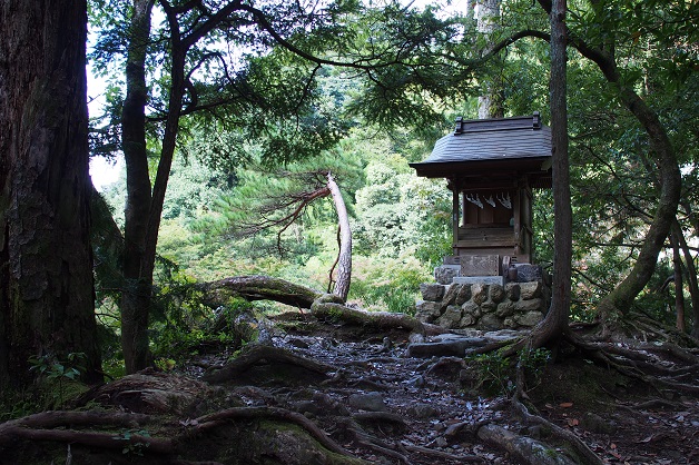 鳩ノ巣渓谷　水神様